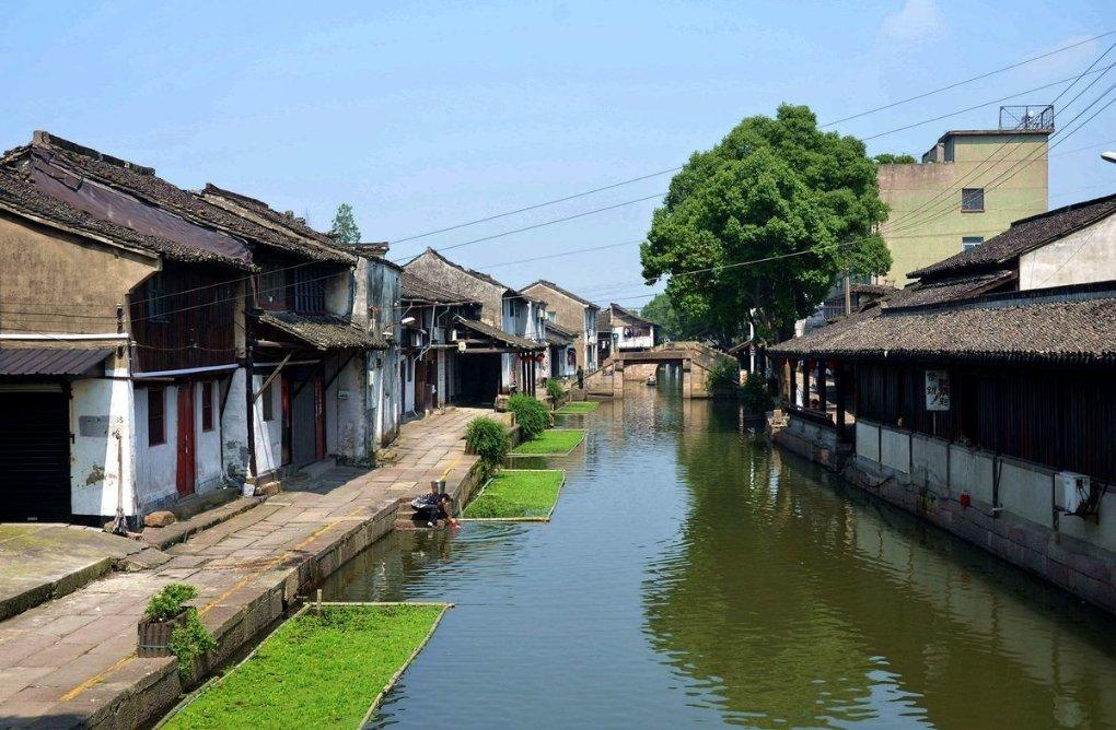 动物帮帮忙保卫家园